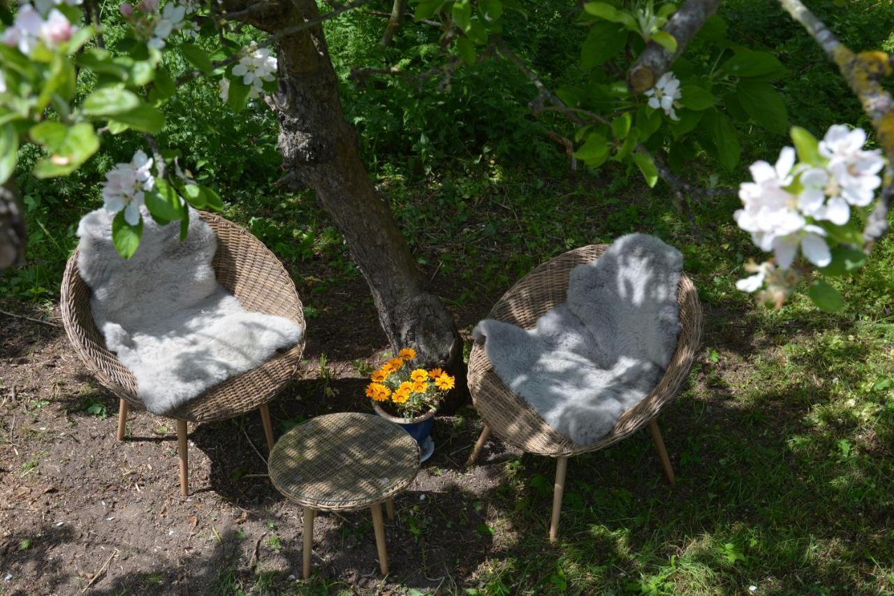 Vester Ulslev Kirkely Bed And Breakfast المظهر الخارجي الصورة