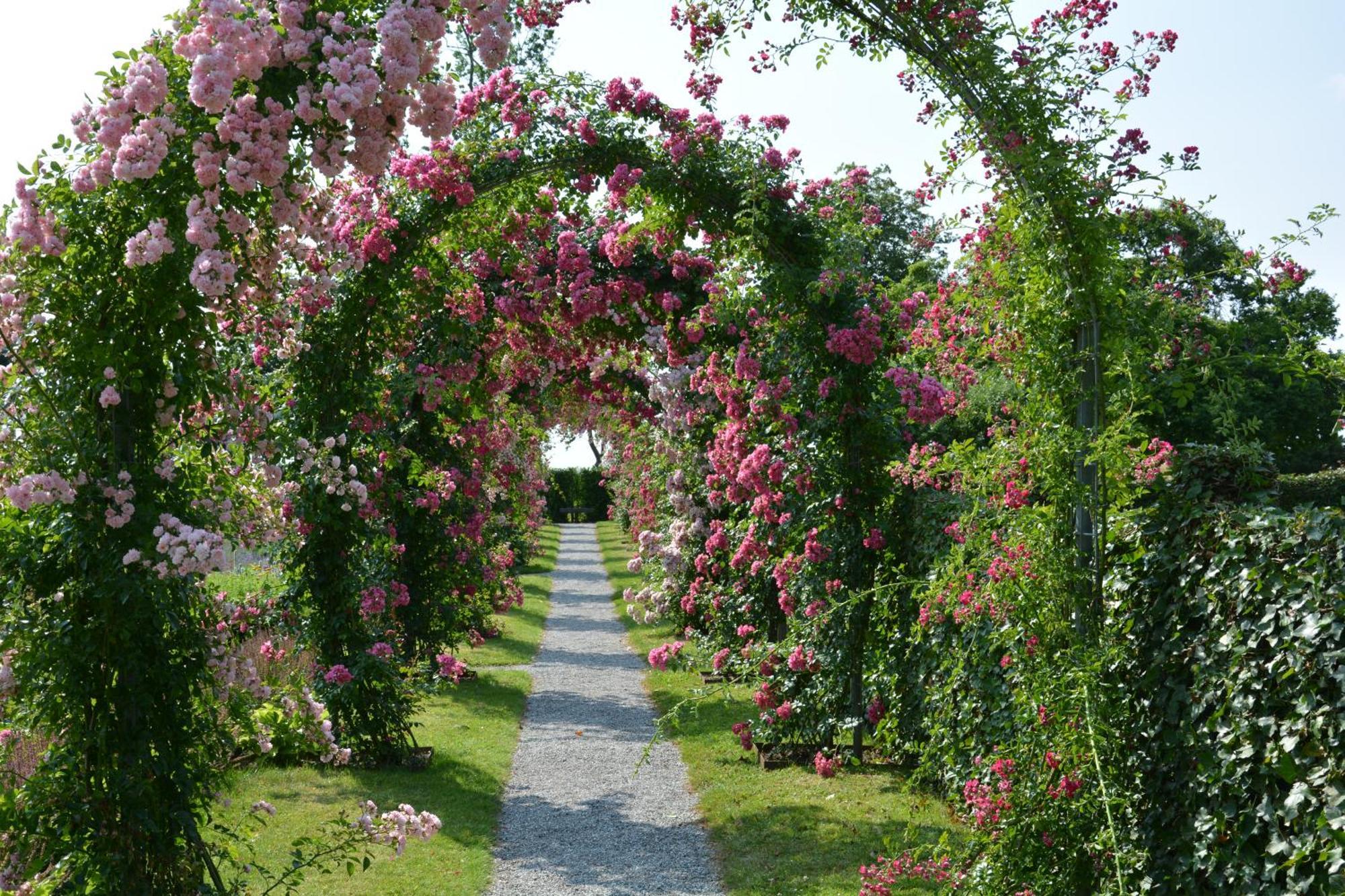 Vester Ulslev Kirkely Bed And Breakfast المظهر الخارجي الصورة